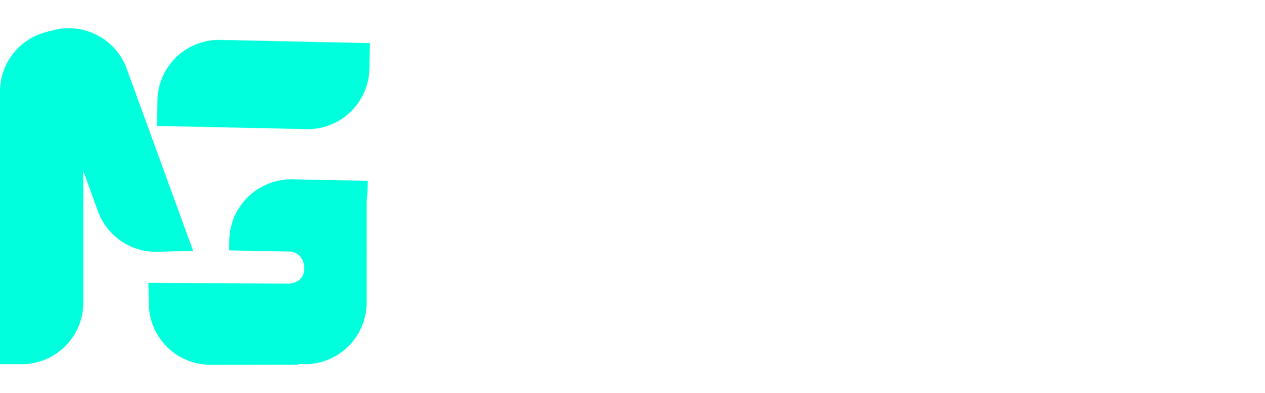 logo NOVA GERA 02